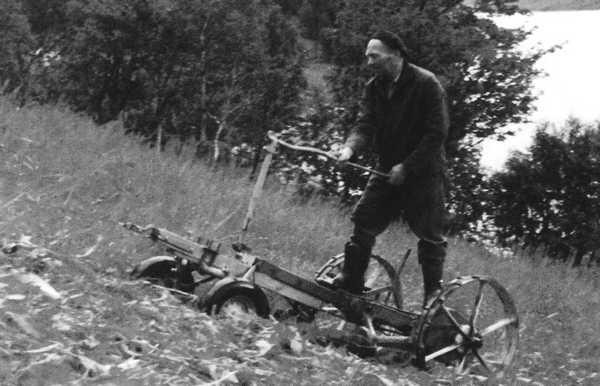 Kalenderbilde